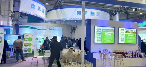 第八屆內(nèi)蒙古綠色農(nóng)畜產(chǎn)品博覽會暨優(yōu)良品種推廣會 創(chuàng)新服務(wù)模式，擘畫綠色發(fā)展新藍(lán)圖